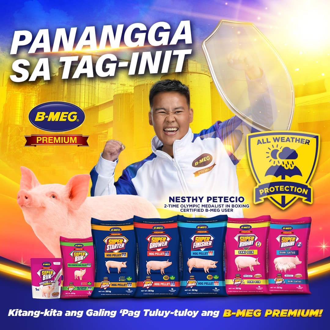 San Miguel Healthcare