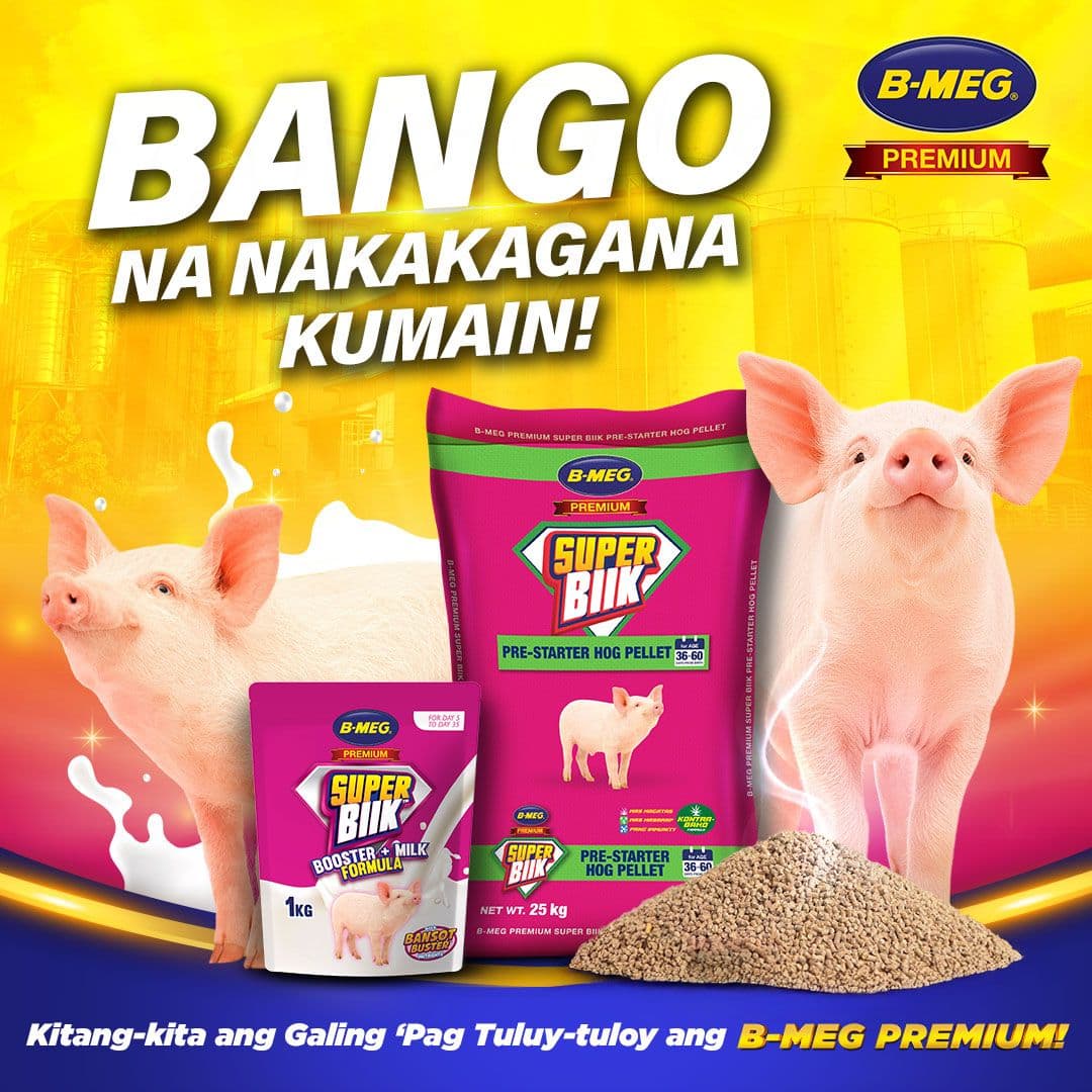 Nutrichunks & AlphaPro