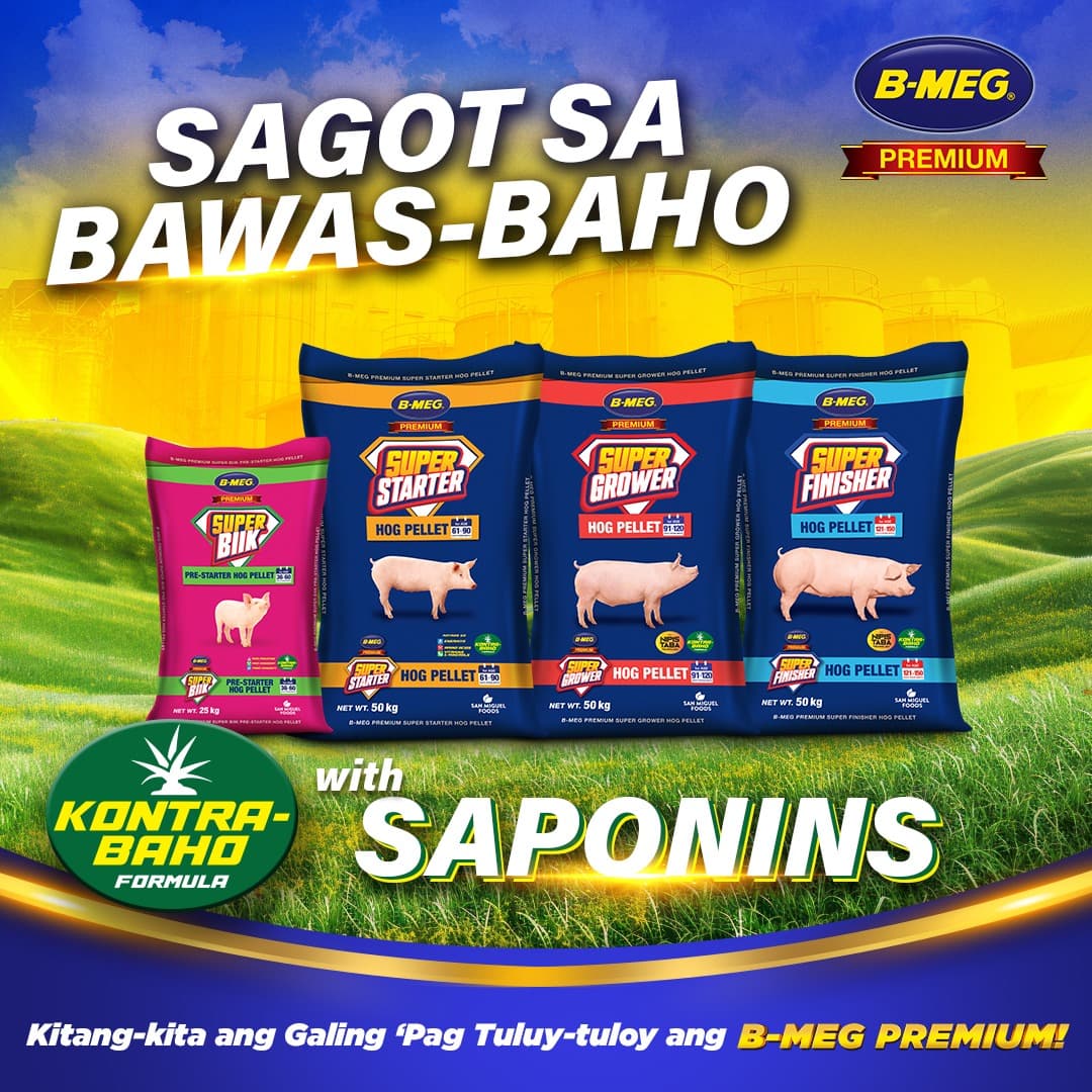 B-MEG Premium Kontra-Baho